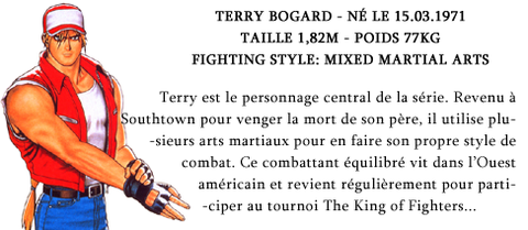 Terry Bogard