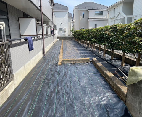 防草シート設置中