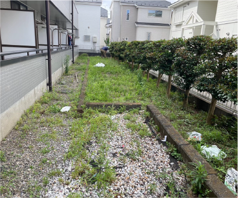 施工前｜雑草繁茂の状態