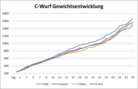 Alle 4 entwickeln sich prächtig