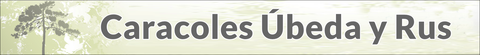 Enlace a Caracoles de Úbeda y Rus