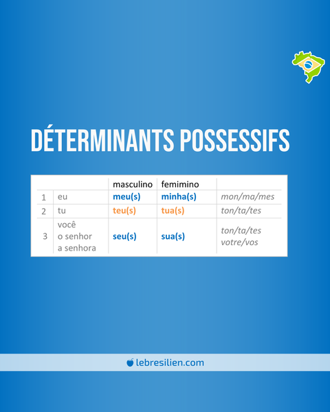 déterminants pronoms possessif portugais singulier