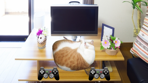 ゲーム機本体　タマスケ広報課長　猫