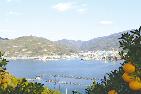 川之石港