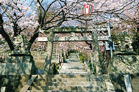 金刀比羅神社