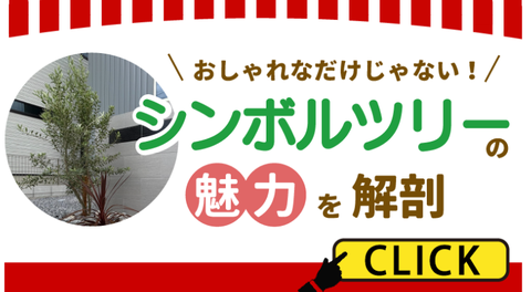 おしゃれなだけじゃない！　シンボリツリーの魅力を解剖