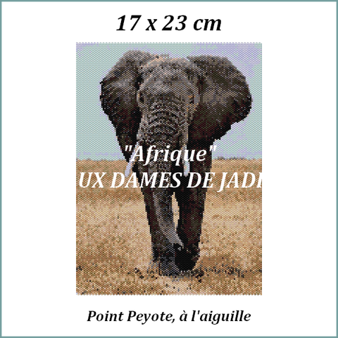 éléphant d'afrique-picture-pattern-tapis-tapestry-miyuki-delica-seed beads-DIY-peyote-loom-even count-instant downlaod-auxdamesdejadis.com 