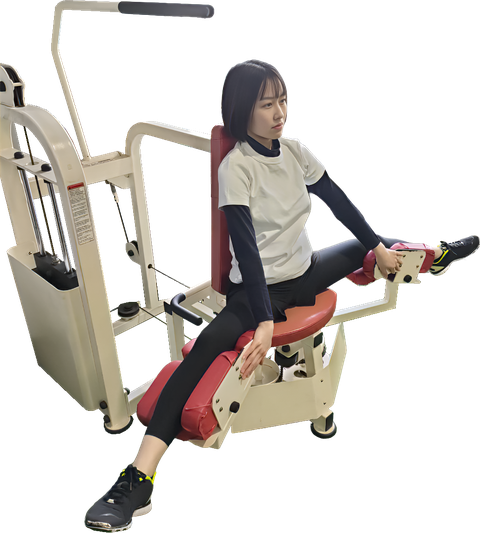 ストレッチマシン FUJIMORI ストレッチマシン バネ式 背中 お尻 股関節 腹斜筋 リハビリ