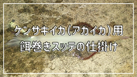 ケンサキイカ（アカイカ）用餌巻きスッテの仕掛け