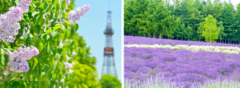提携する地元の旅行会社経由で申し込まれると、お得になる場合がございます。