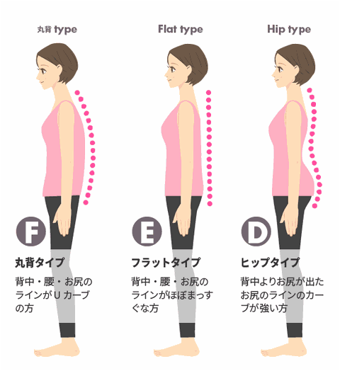 ボディライン6タイプのうち丸背タイプ　フラットタイプ　ヒップタイプの説明画像