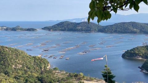海とボート