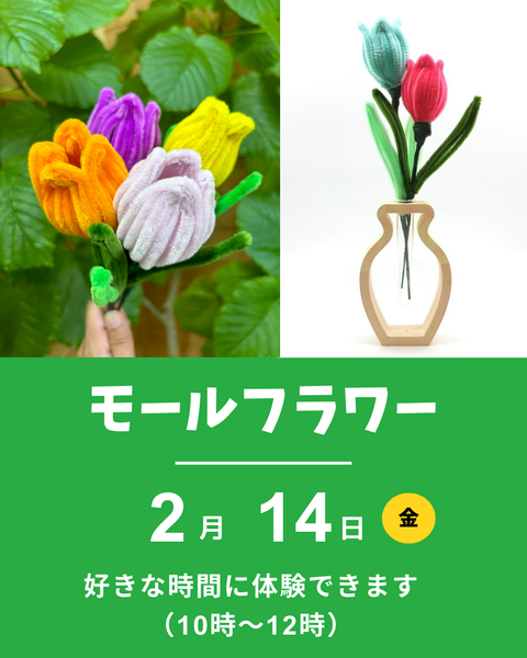 モールフラワー