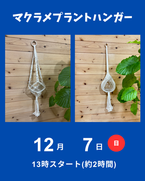プラントハンガー