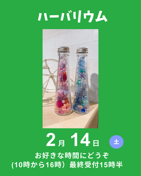 ハーバリウム