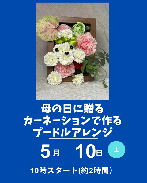 カーネーションでプードルアレンジ