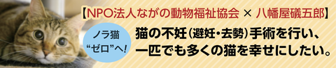 【NPO法人ながの動物福祉協会×八幡屋礒五郎】 ノラ猫“ゼロ”へ！ 猫の不妊（避妊・去勢）手術を行い、一匹でも多くの猫を幸せにしたい。