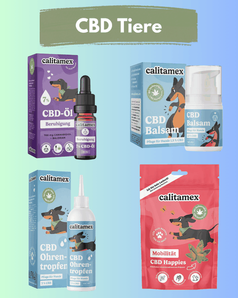 CBD für Tiere, CBD Tropfen für Hunde, CBD Calitamex Ohrentropfen, Pfotenbalsam, CBD Happies Snacks Dog Beruhigung
