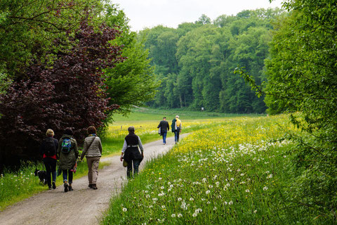 Wandergruppe im Maurener Tal bei Böblingen. Foto Rainer Sturm