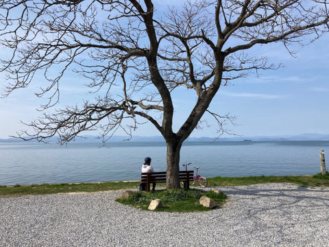 琵琶湖の絵になるスポット「あのベンチ」。詳細はネットでチェックを