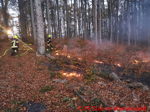 Feuerwehr; Blaulicht; BFKDO Mödling; FF Sulz im Wienerwald; Waldbrand; Pilot;