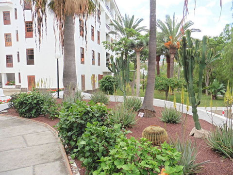 Rechts im Bild sieht man man den Garten, mit subtropischen Pflanzen und vielen Palmen, der Wohnanlage und links das Haus.