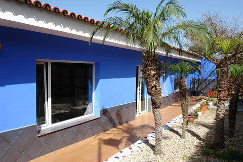 Romantische Palmengruppe entlang dem Eingangsbereich vom Chalet