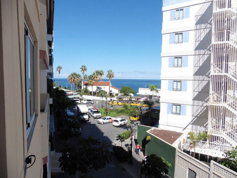 Im Hintergrund des Bildes sieht man das Meer und den Horizont im Vordergrund ist die Strasse mit Palmen zu sehen die zum Strand führt.