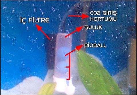 akvarryum için mayalı karbondioksit üretici yapımı