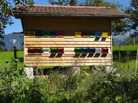Beziehung der Farben von Haus und Blumen