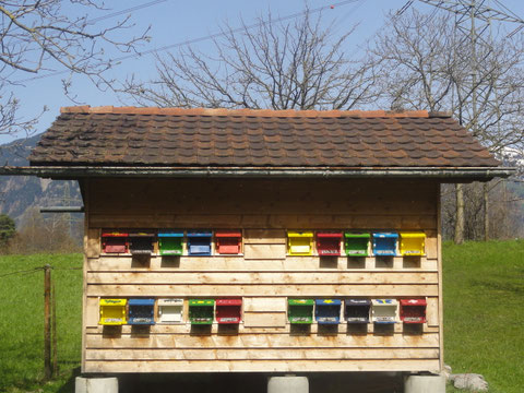 Bienenhaus 