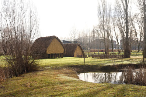 Yacimiento de La Draga, en Banyoles (Girona). / Foto: Istock 