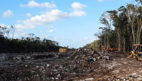 En los alrededores de Playa del Carmen, en la península de Yucatán, la construcción de uno de los siete tramos del Tren Maya ha deforestado al menos unos 10 kilómetros cuadrados de selva. Foto: Emilio Godoy / IPS