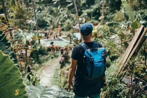 Los especialistas recomiendan tomar precauciones frente a mosquitos y otros organismos que pueden provocar enfermedades graves. / Foto: Freepik 