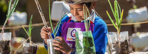 Un pequeño participa en un taller de plantación organizado por PNUD Perú y la FAO en Ayacucho, Perú. Foto: PNUD Perú