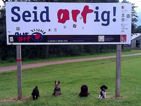 Partnervermittlung aurich Dirks Partnervermittlung in Aurich