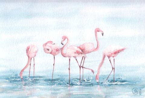 Aquarellbild "Flamingos im Wasser": Flamingos platschen im Wasser und suchen nach Futter, ein Flamingo schläft