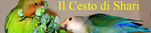 IL MIO BANNER
