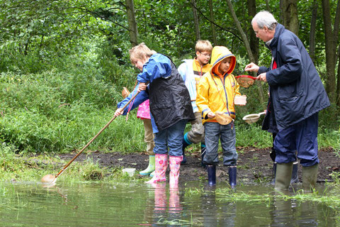 Wir erforschen Teich und Tümpel