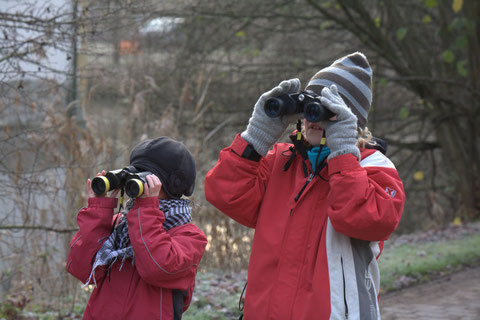 Auf der Vogelpirsch in Bustedt