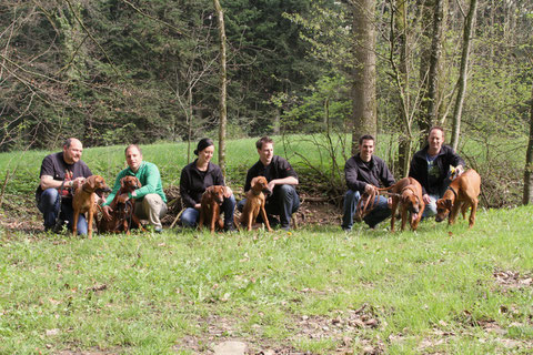 Markus mit Malik, Hannes mit Marula, Rebecca mit Anaya, Joni mit Nala, René mit Juma und Urs mit Dayo