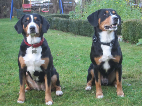 Mama Aluna und Papa Emil (Ende Dez. 2011)