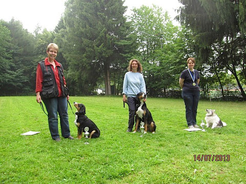 v.l. Anca, 1. Platz mit 99 Pkt. / GS Indy 3. Platz mit 98 Pkt. / Spitz Kira 1. Platz mit 99 Pkt.