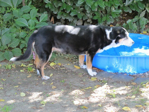 18.08.2012 Es ist so heiß heute gewesen........"