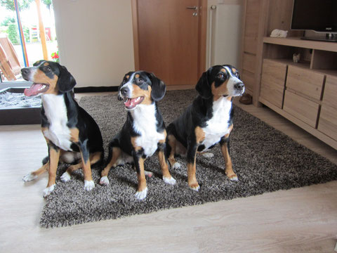 Abbie, Anca und Mama Aluna