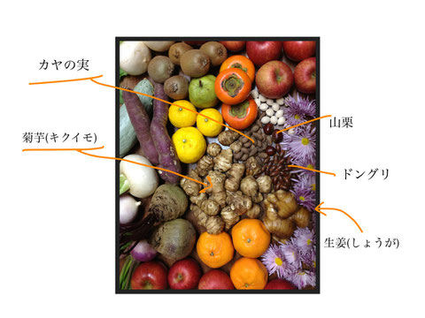 江田島酵素の秋冬酵素の材料の一例