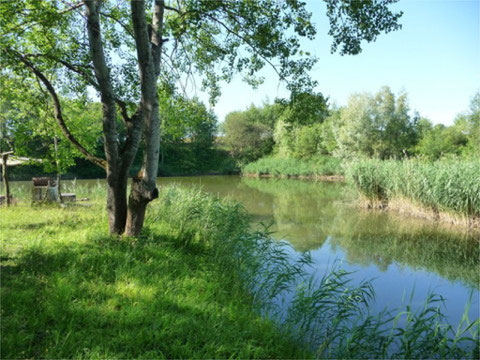 Etang la Marnière