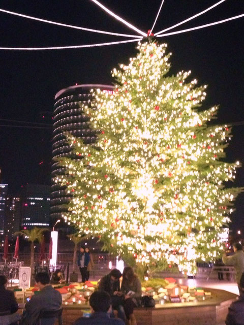 横浜ベイクオーターのクリスマスツリー