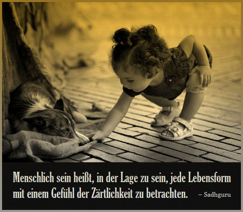 Sadhguru, Menschlich, Nirmalo