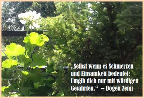 Dogen, Wachheit, Nirmalo,